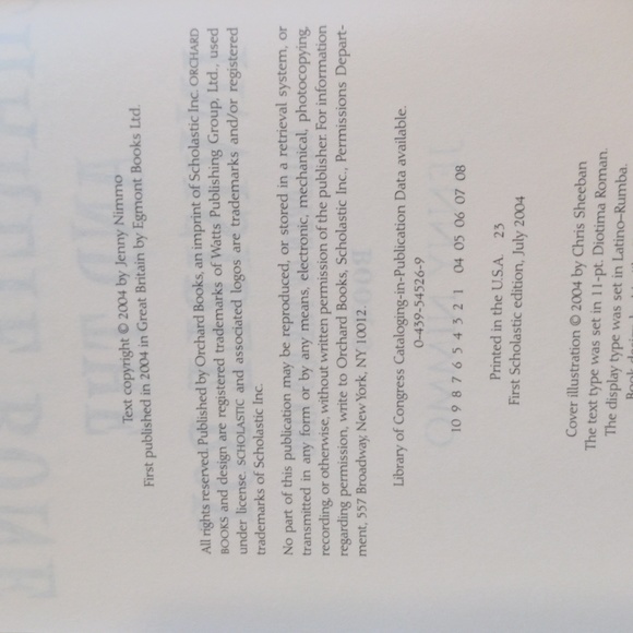 Charlie Bone & The Invisible Boy - Charlie Bone & The Castle Mirrors Books 3 & 4 - Picture 5 of 14